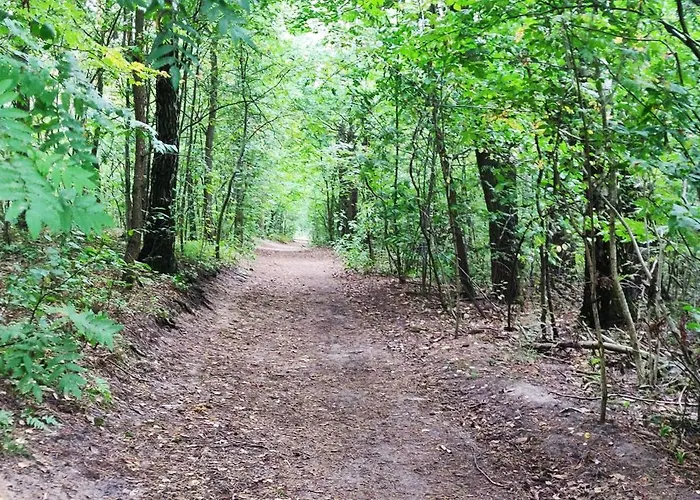 Zacisze Lesznowola (Masovia)